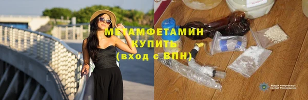 трава Няндома