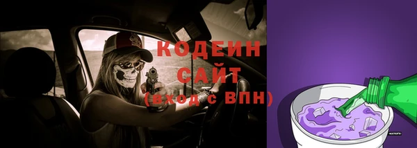 трава Няндома