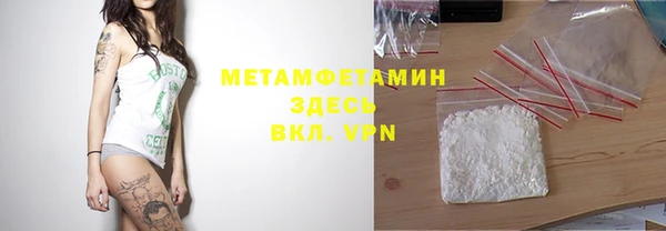 трава Няндома