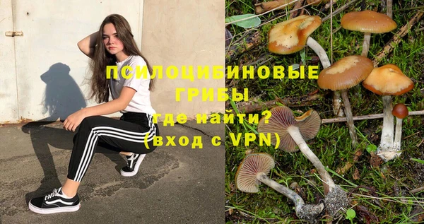 экстази Нязепетровск