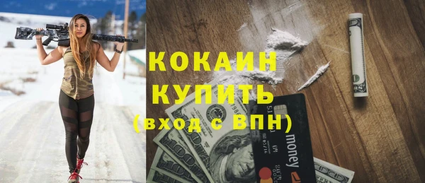 трава Осинники