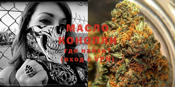 трава Няндома