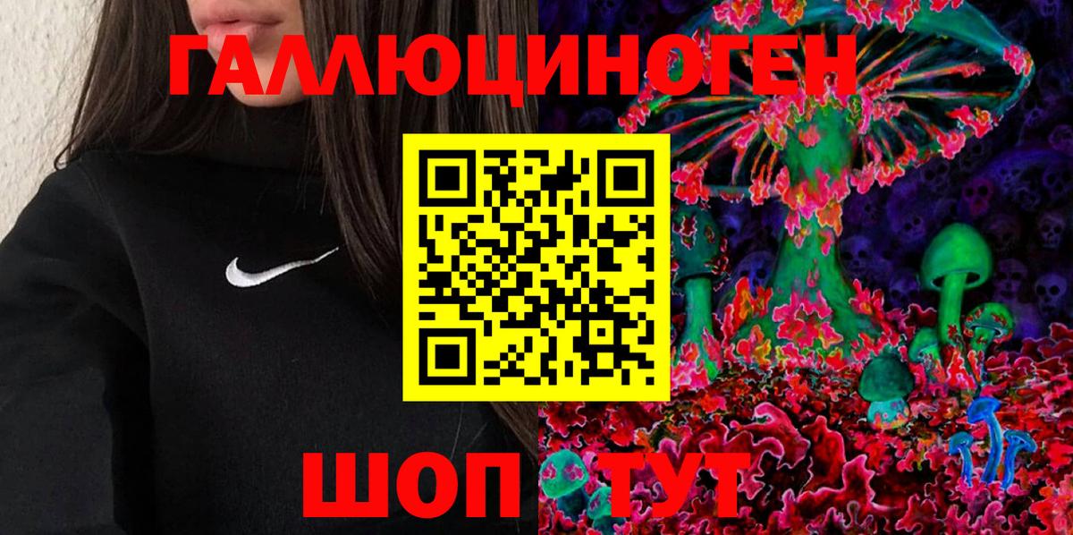 даркнет сайт  Амурск  Галлюциногенные грибы прущие грибы 