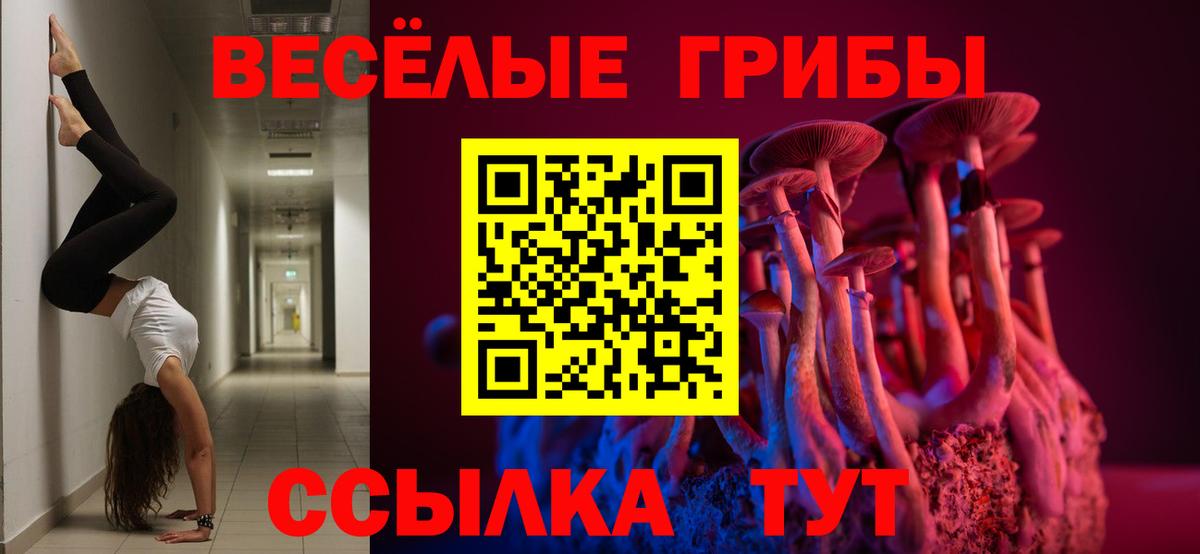 Псилоцибиновые грибы мицелий Амурск